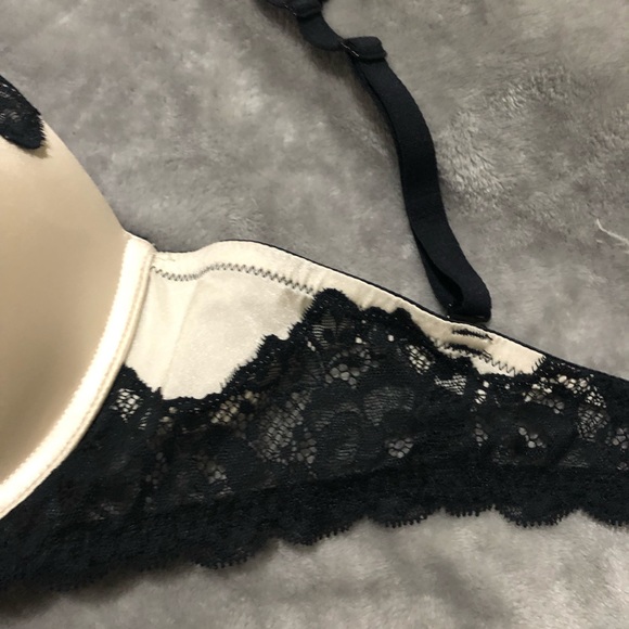Beyond Sexy Push Up Bra B1G1FREE 🌸 - Picture 3 of 5